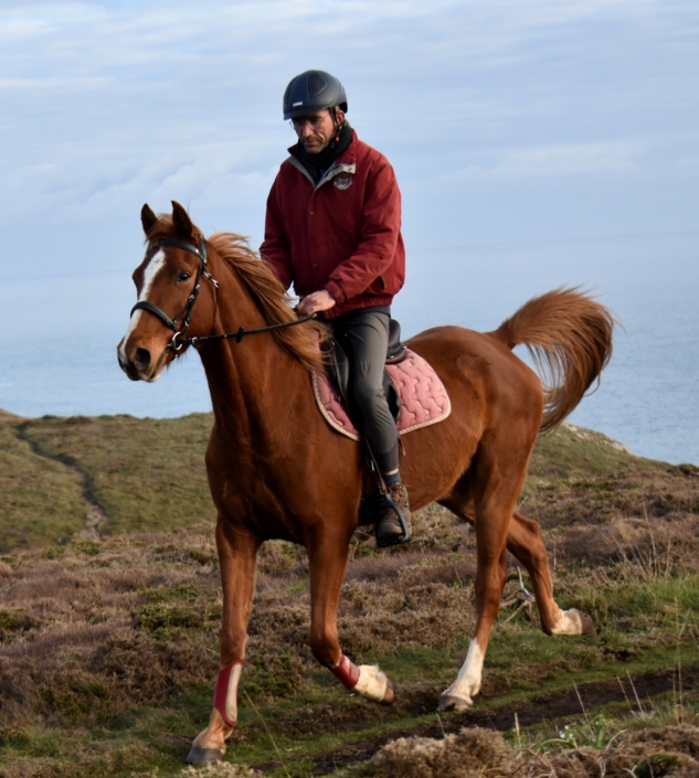 Jivann Cheval a Vendre plogoff